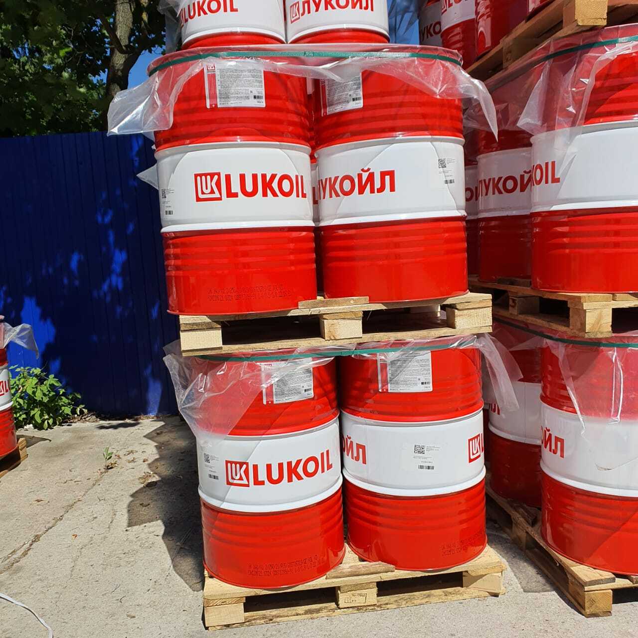 Купить Автомобильное Масло В Туле