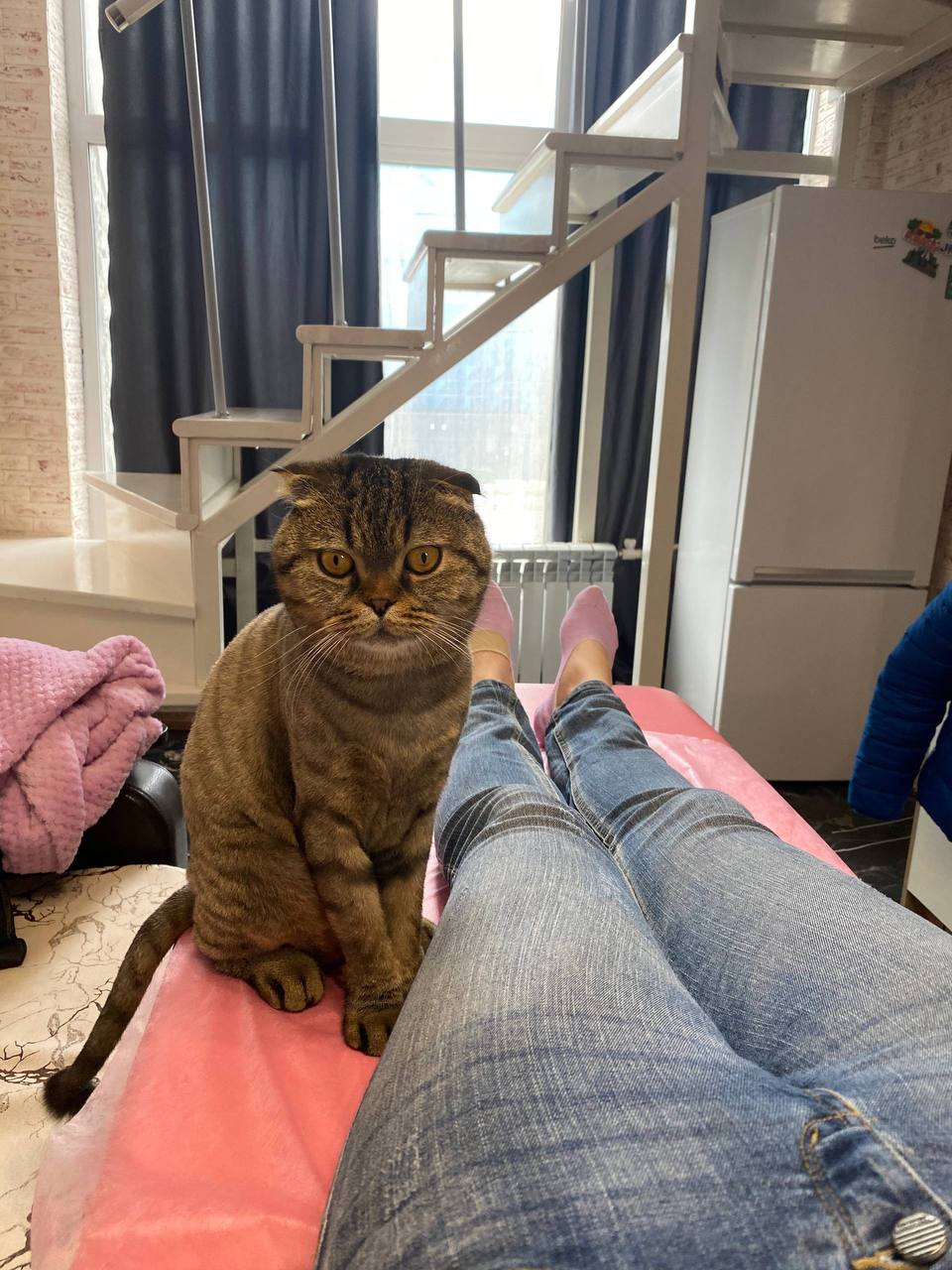 Работа из дома лэшмейкера 