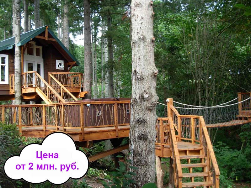 постройка дома на дереве