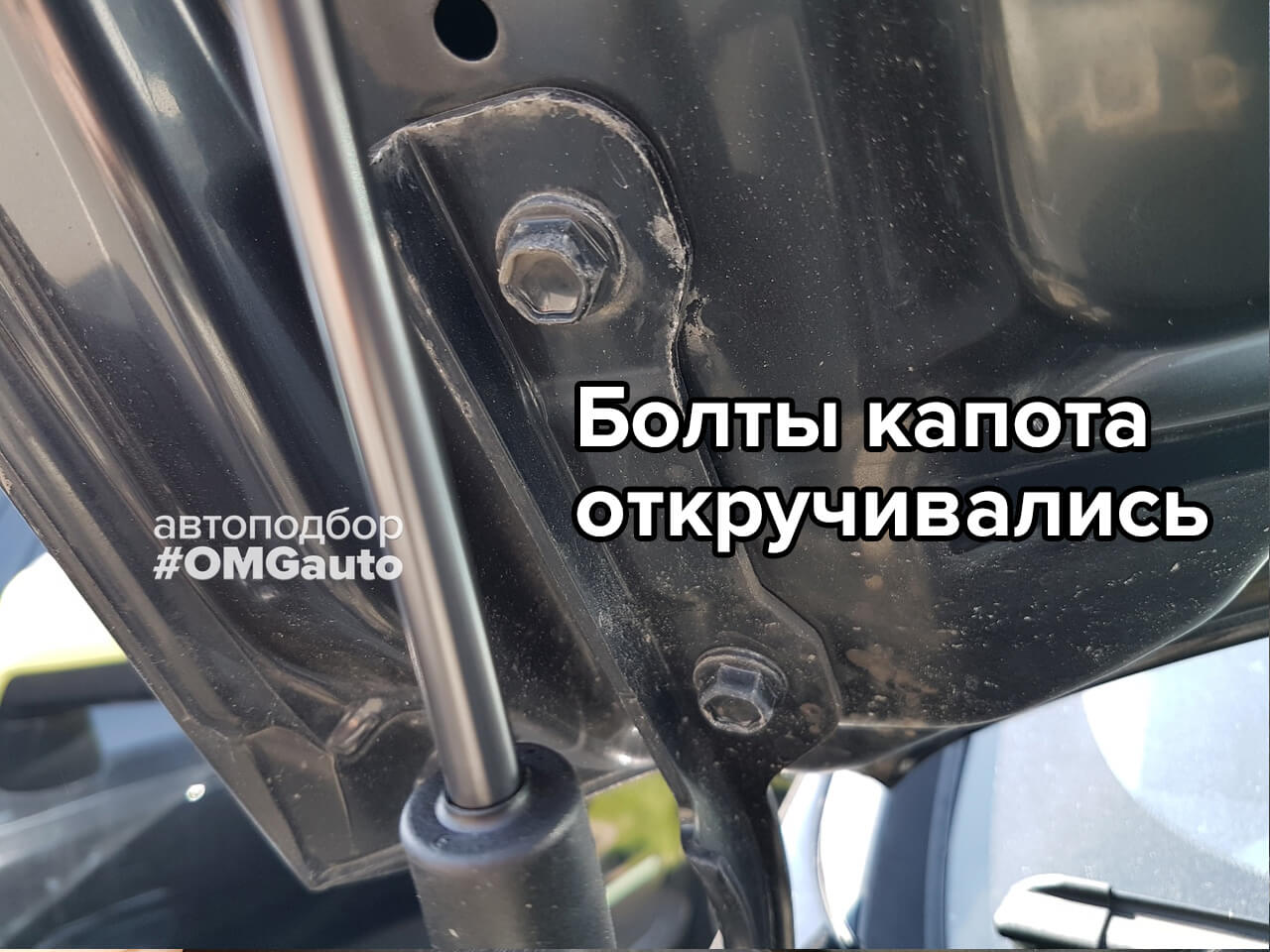 Автоподбор Ford Kuga под ключ в СПб #OMGauto