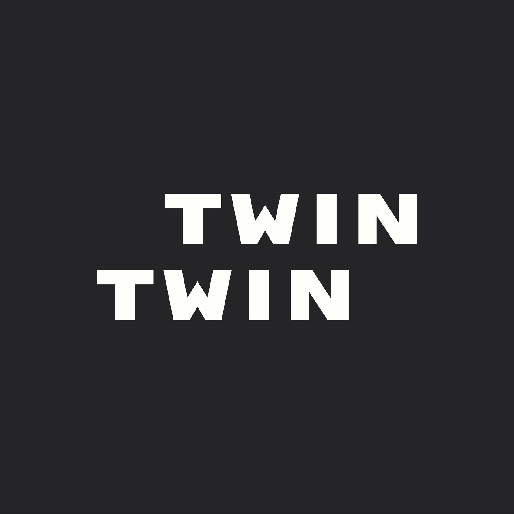 Project: https://twintwin.ru