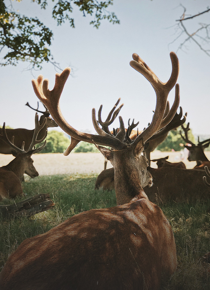 Тренировки на курорте