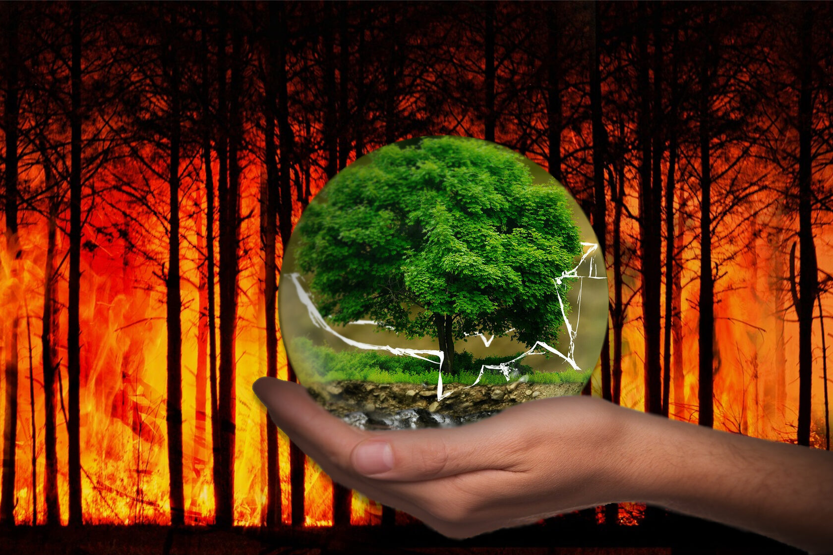 Consider the environment. Consider the environment