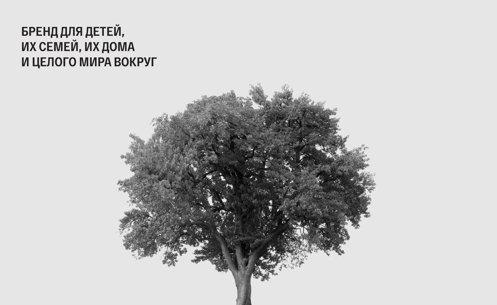 Разработка бренда Brand for my son | Кейс OTVETDESIGN