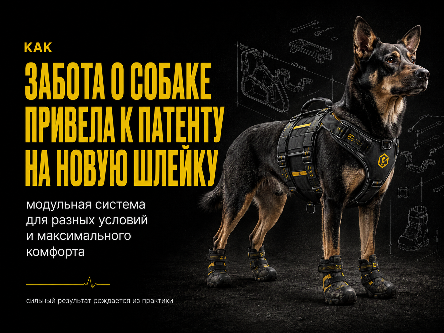 Модульная шлейка с быстросъёмной обувью для собак