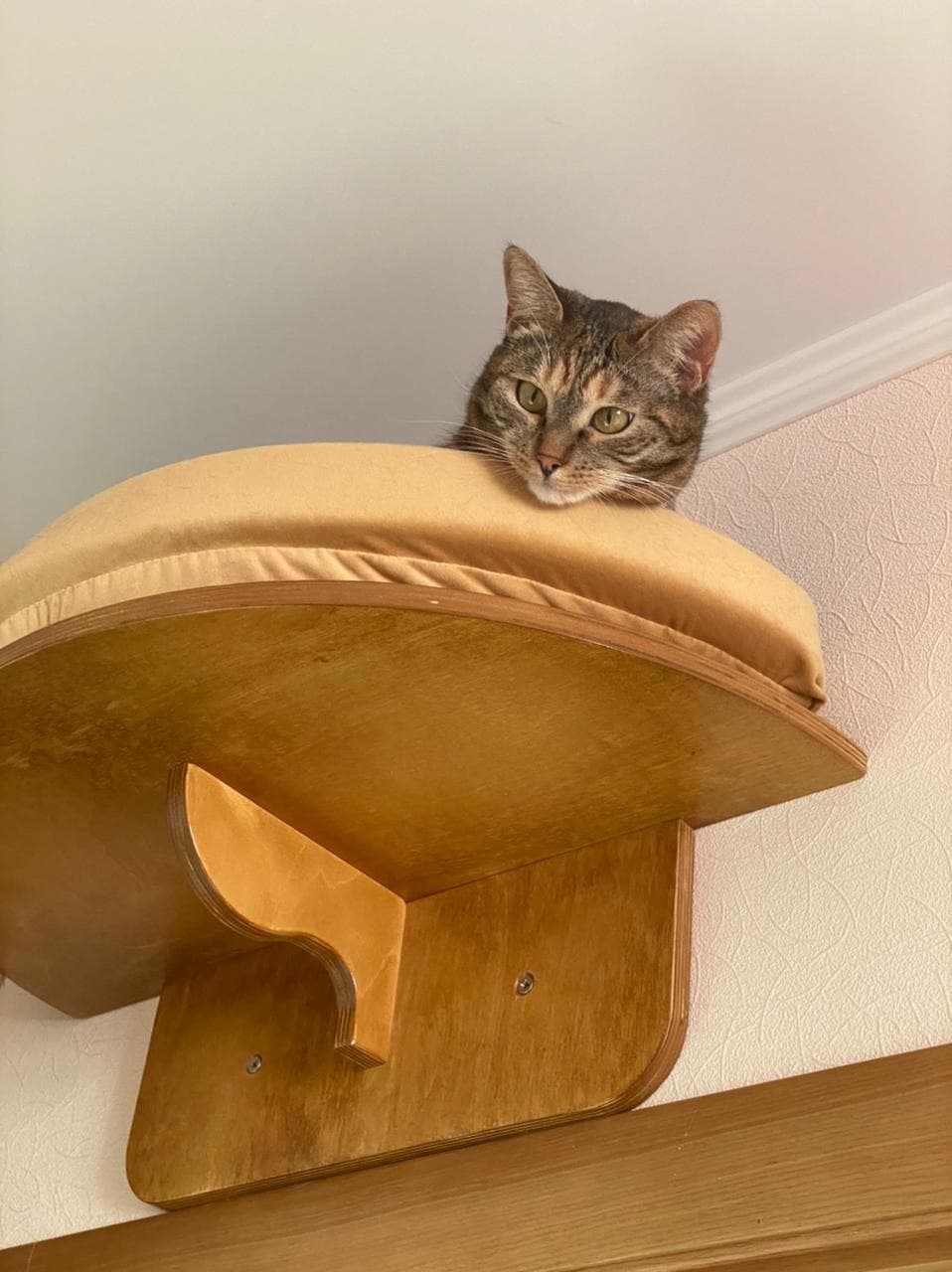 Полка для кошек Big Jump (60х30)