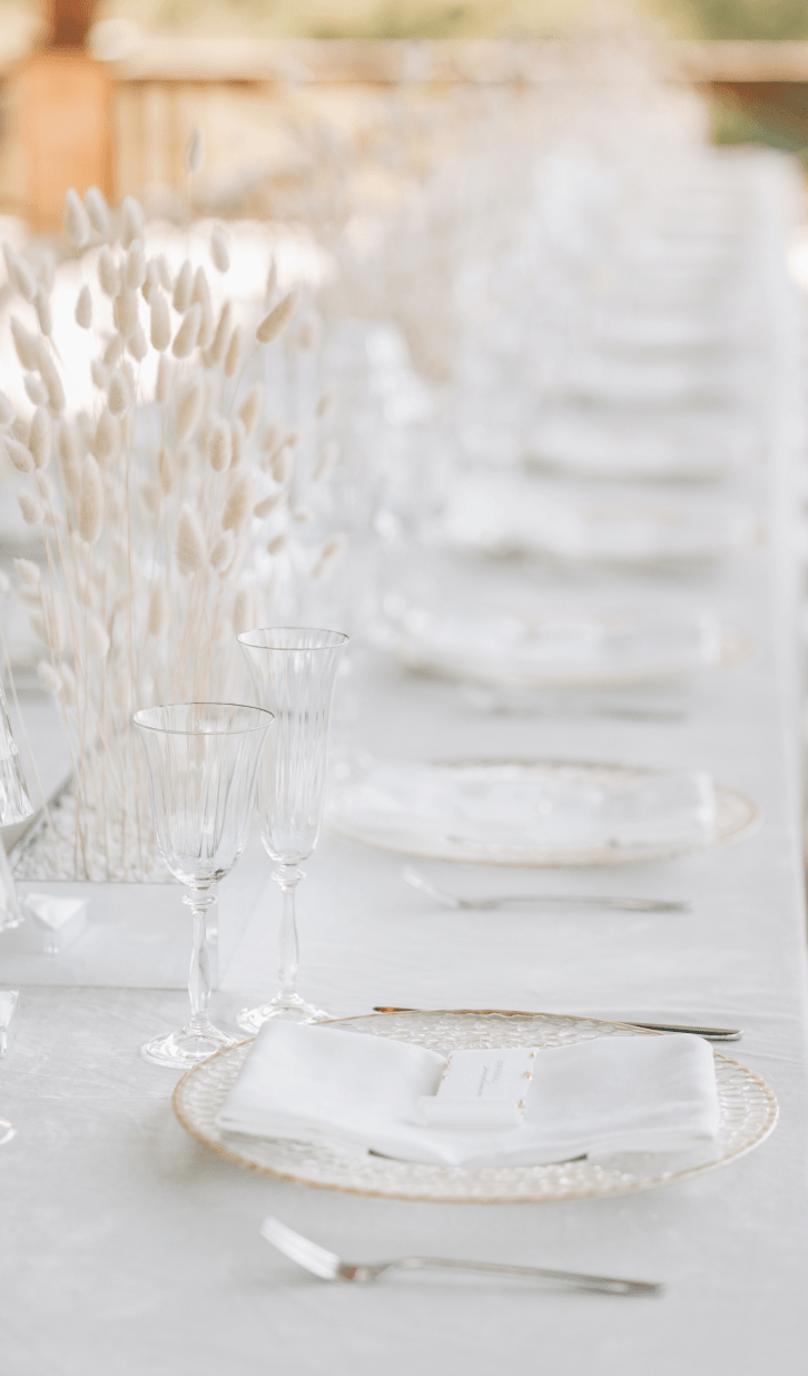 Neponaroshky-wedding-svadba-krym