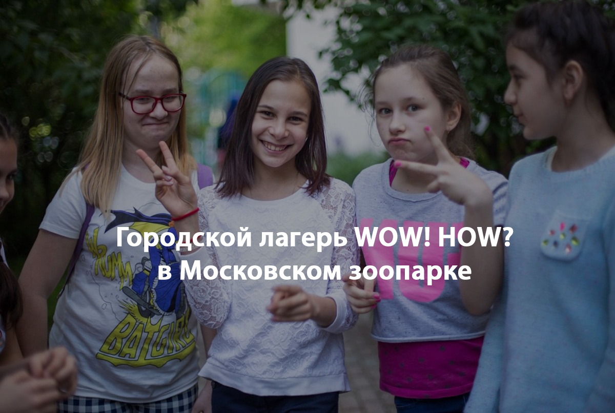 Городской лагерь WOW! HOW? в Московском зоопарке