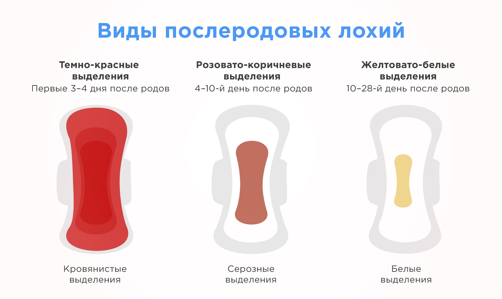 Почему менструация сократилась до 5 дней