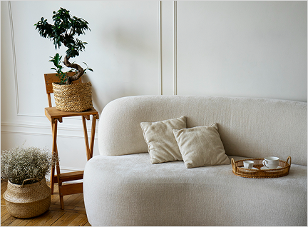 Wohnzimmer mit Sofa und Pflanze