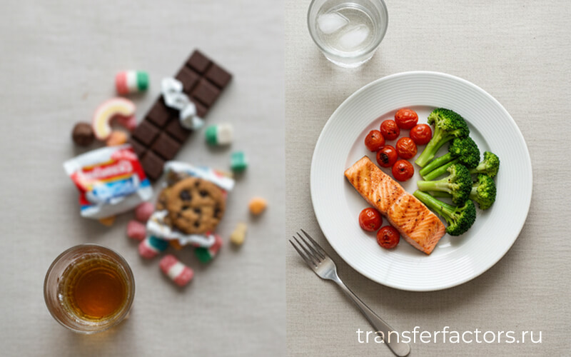 4Life Transfer Factor: выбор в пользу печени