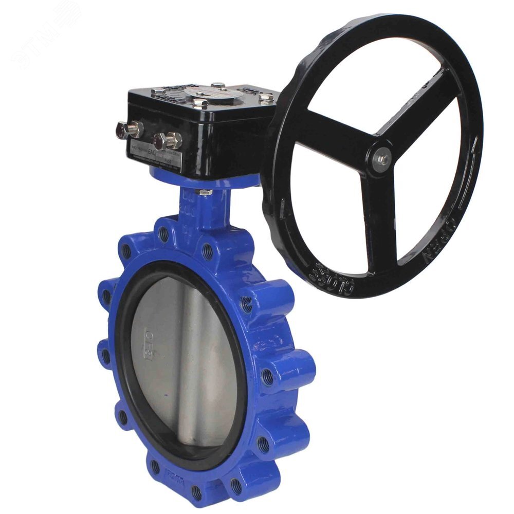 Затвор с двойным эксцентриситетом