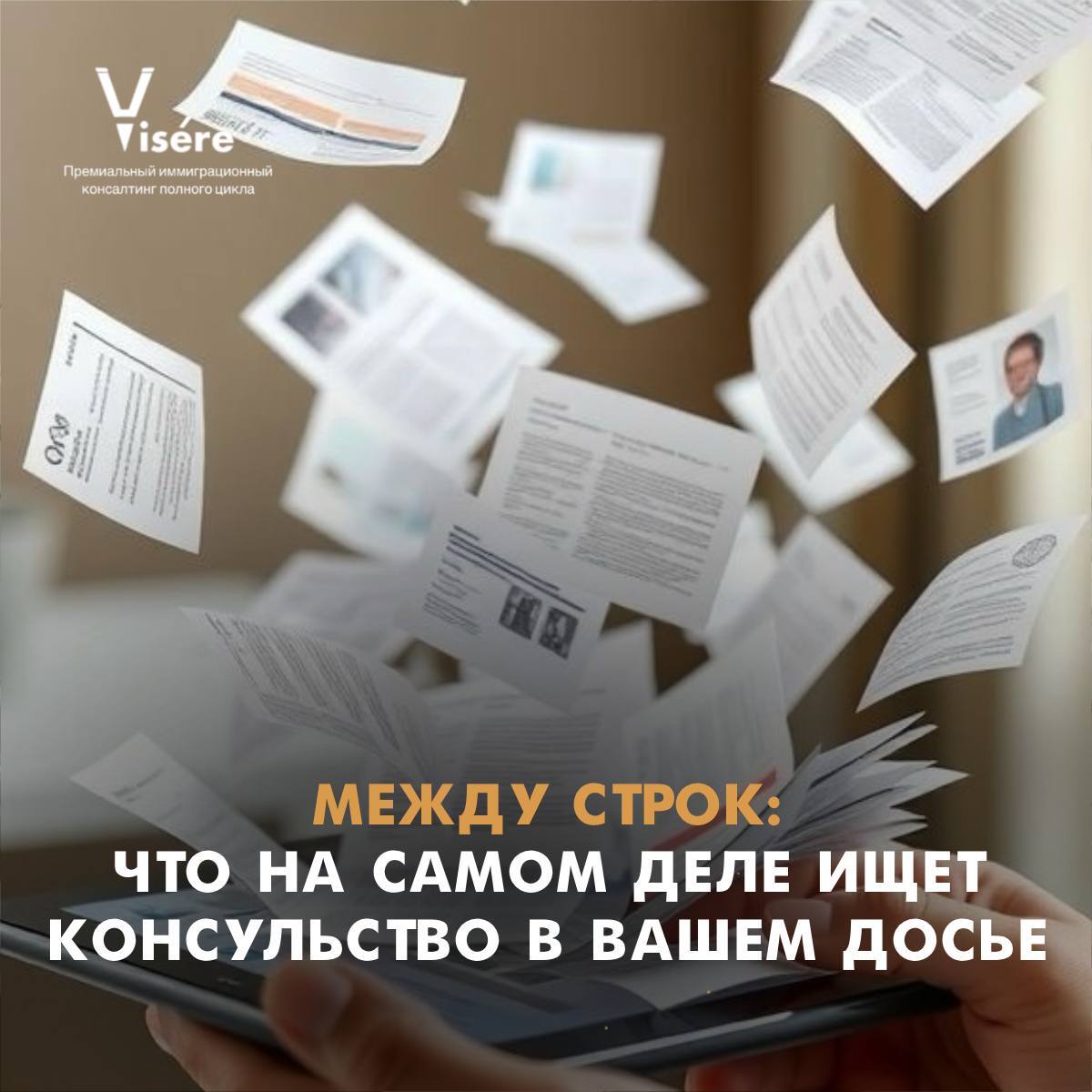 Анализ досье заявителя на визу D и оценка рисков отказа в консульстве Франции