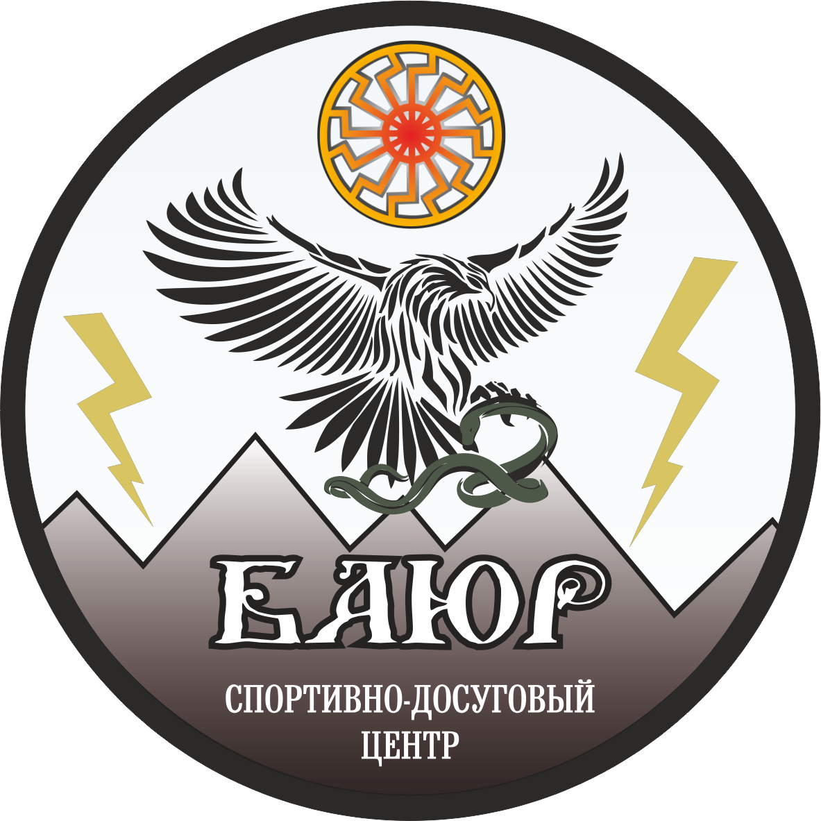  Детский клуб единоборств и досуга имени Юрченко Игоря Михайловича 
