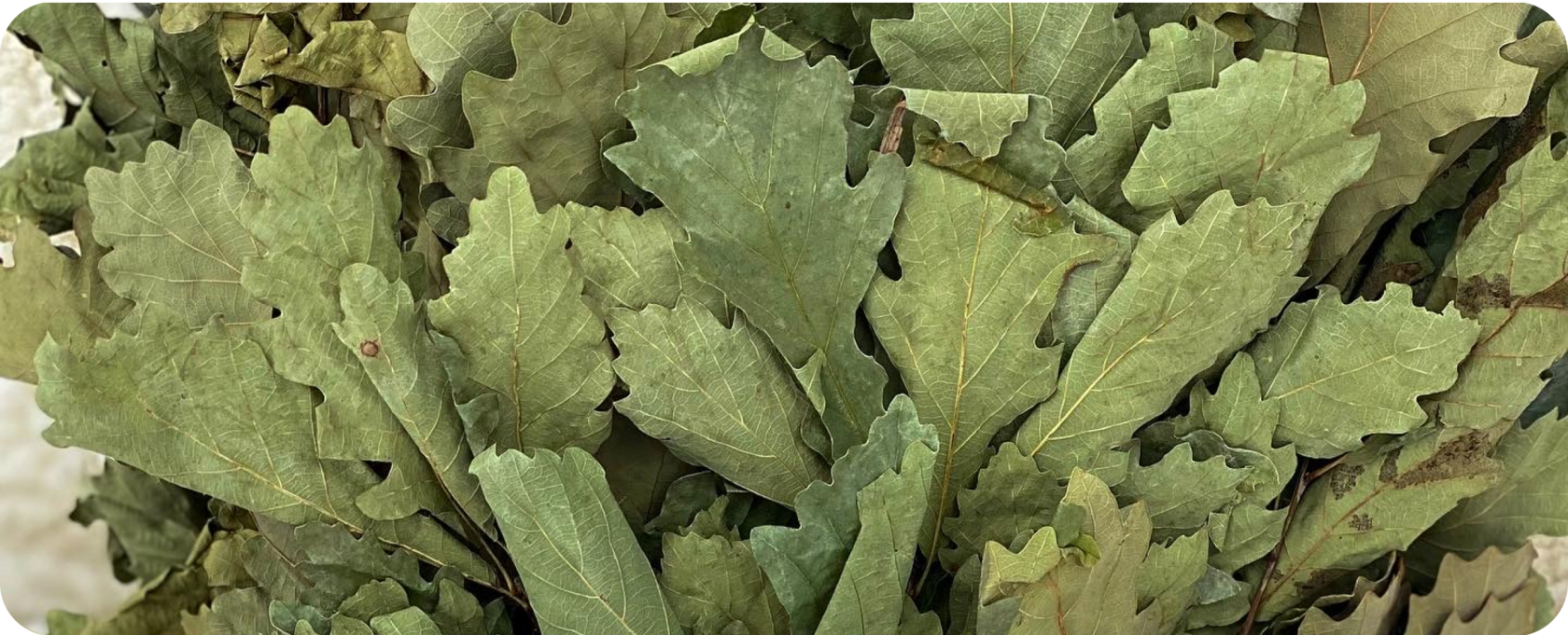 Как попариться веником без посторонней помощи?