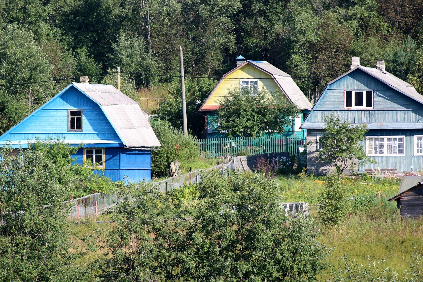 Загородный посёлок в окружении леса