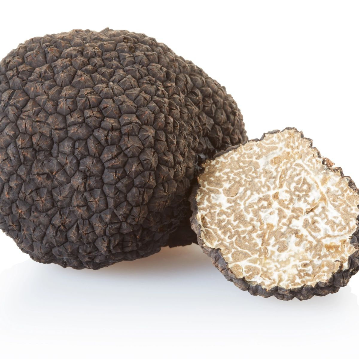 Чёрный трюфель Tuber melanosporum