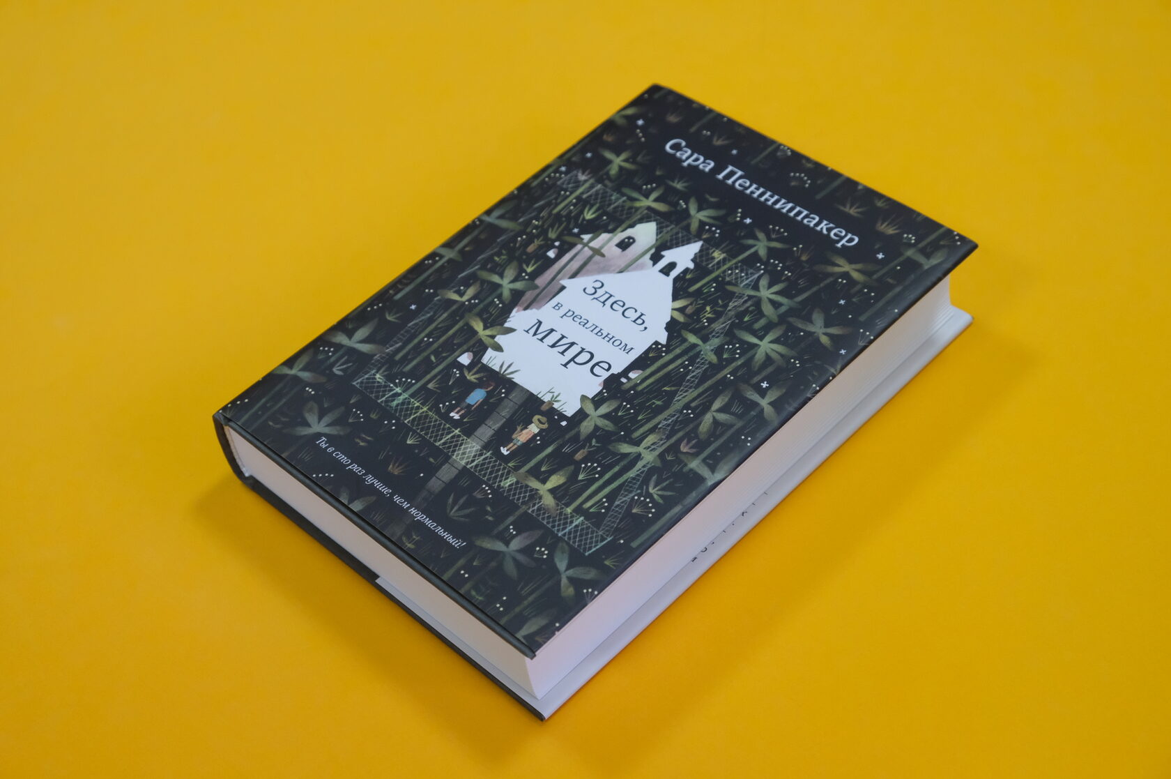 Новая книга автора «Пакса» Сары Пеннипакер — «Здесь, в реальном мире»​