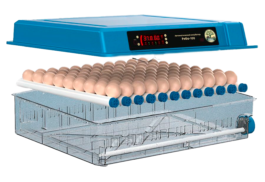 Производитель Ряба