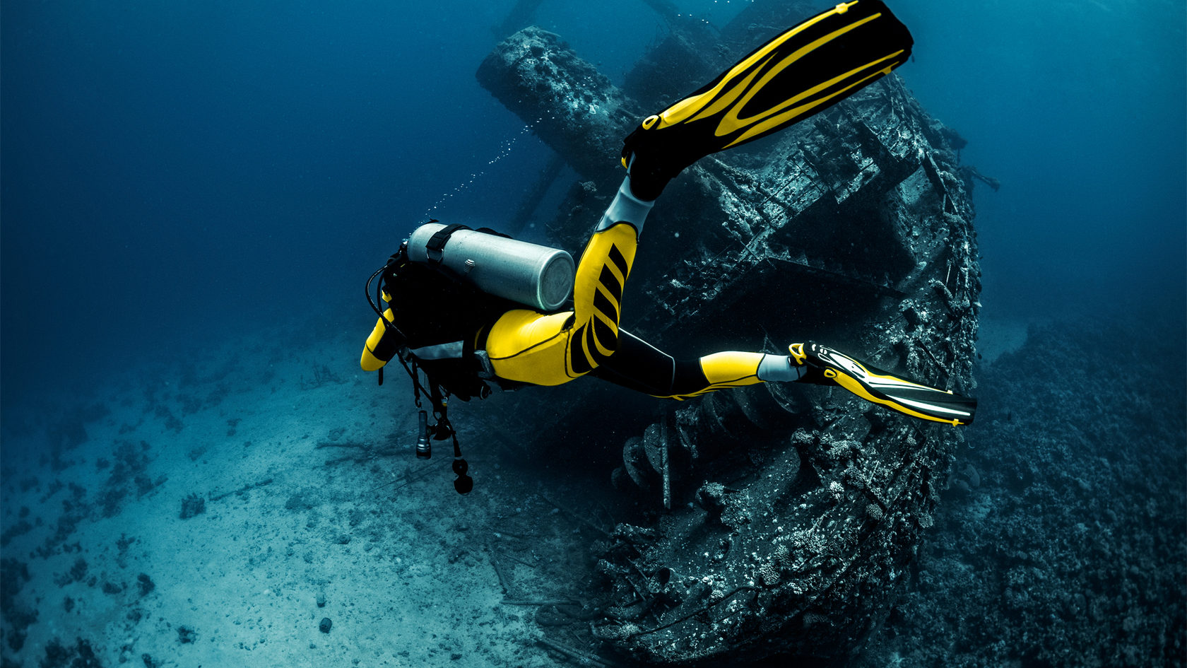 Обучение дайвингу в Воронеже по системе PADI (ПАДИ)