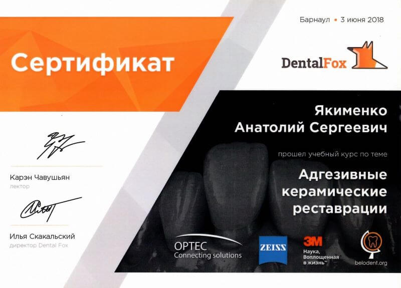 «Адгезивные керамические реставрации» — лектор Карэн Чавушьян, Dental Fox, Барнаул, 3 июня 2018