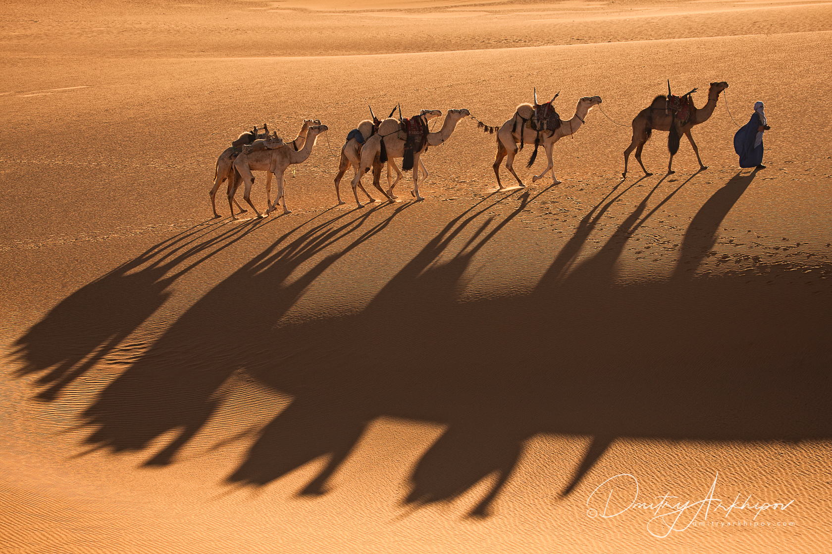 Караван проверить. Верблюд в пустыне. Караван верблюдов. Караван в пустыне. Караван верблюдов в пустыне.