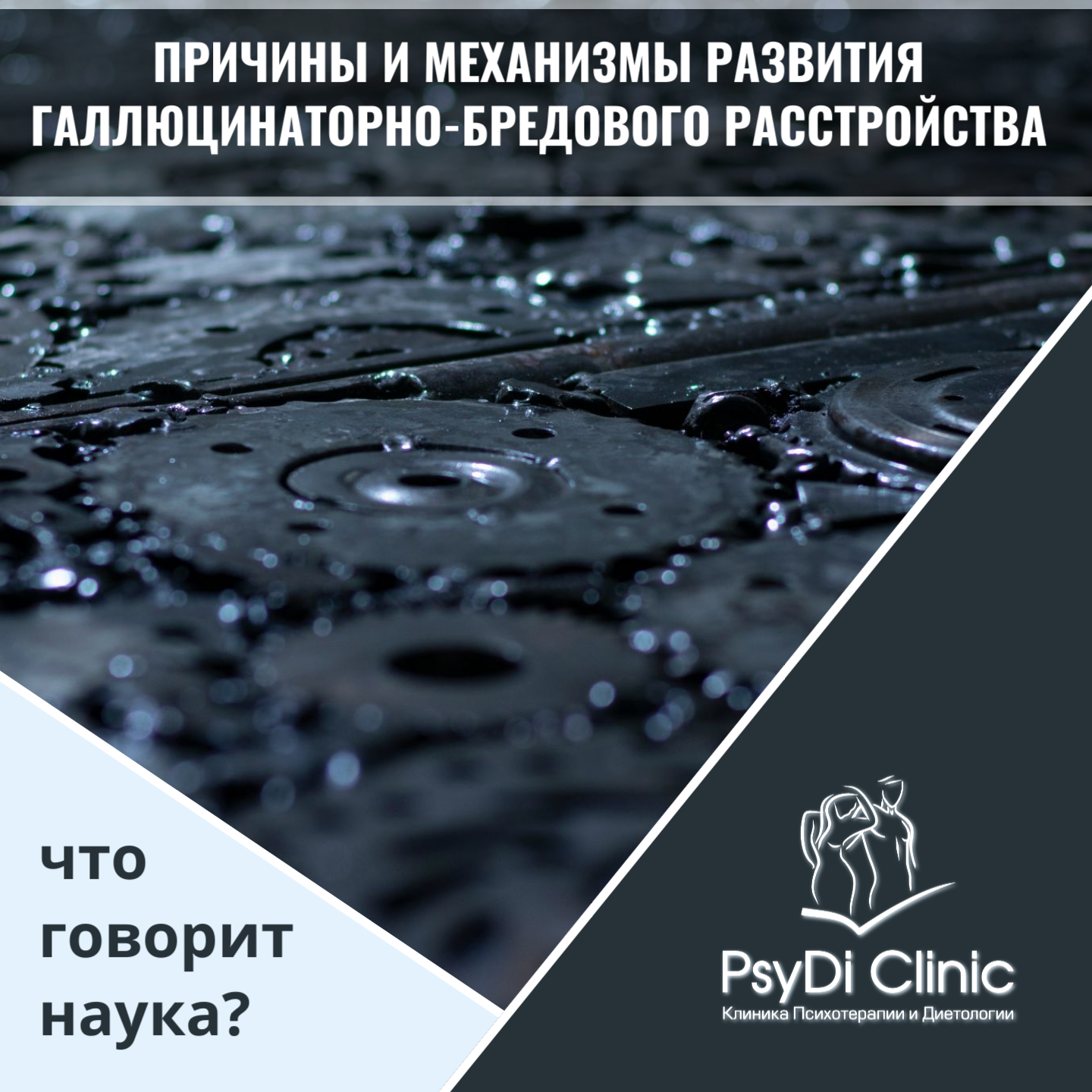 Причины и механизмы развития галлюцинаторно-бредового расстройства (ГБР): что говорит наука?