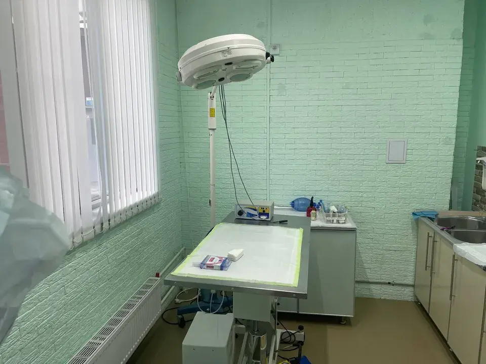 Операционная с хирургической лампой в клинике в Остафьево
