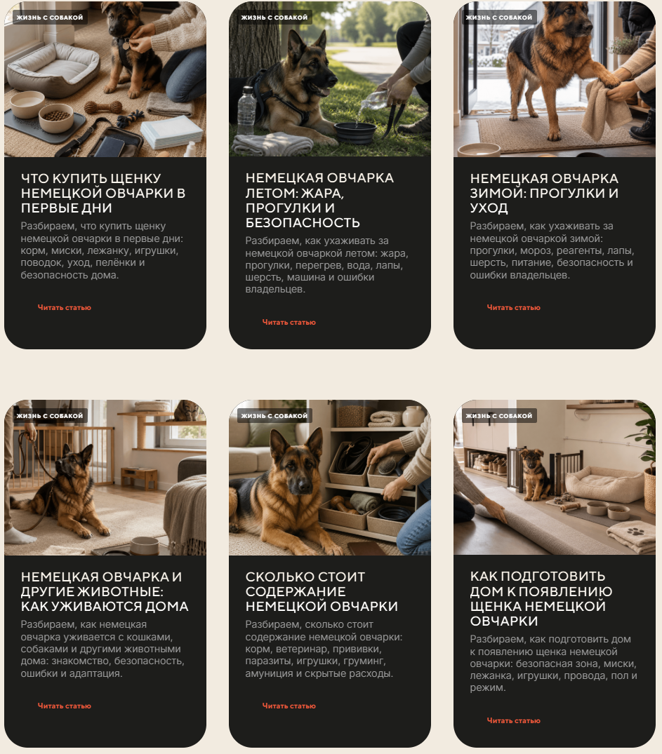 Пример для seo статей DOG ZONA
