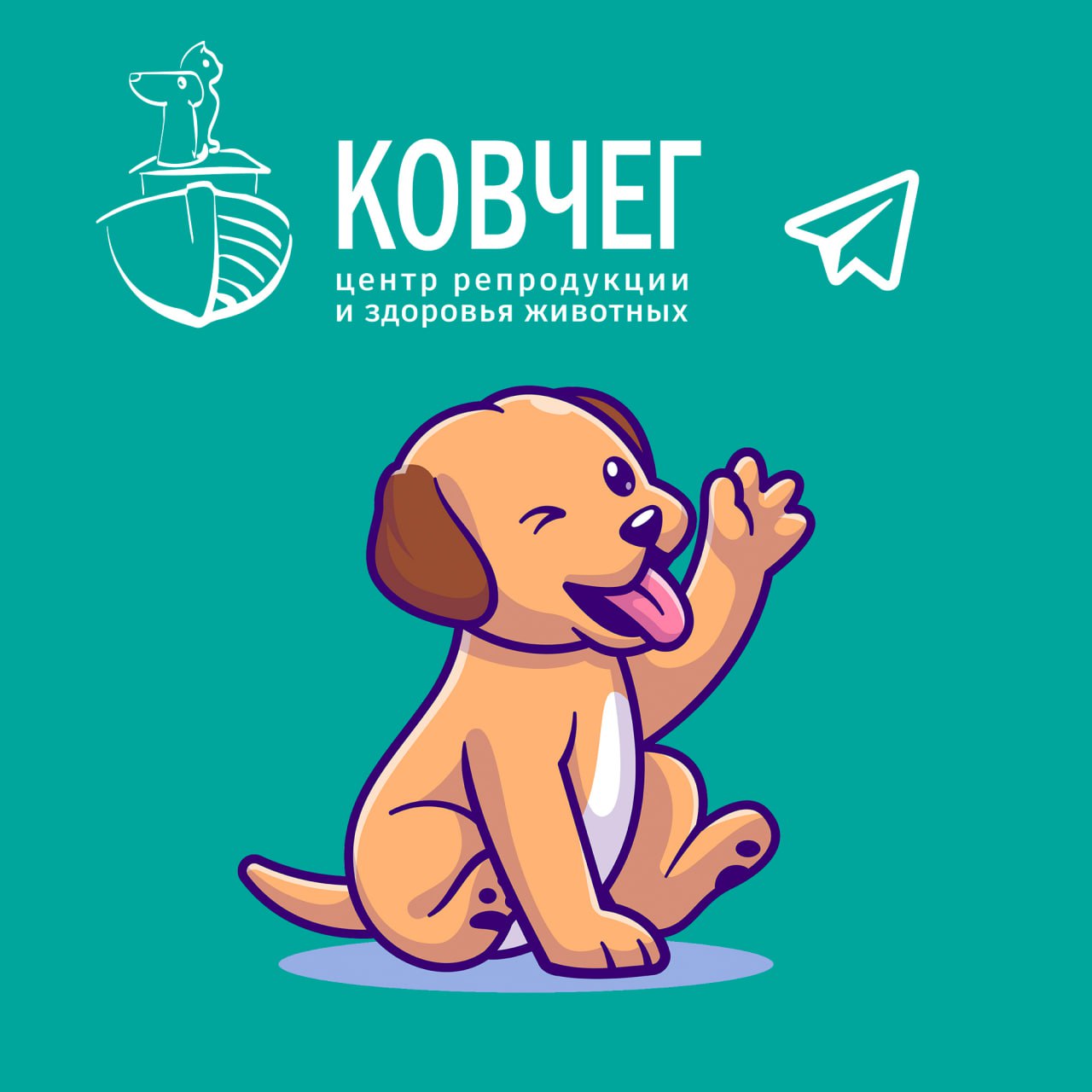ВетАптека "Ковчег" в Москве|Купить Бравекто