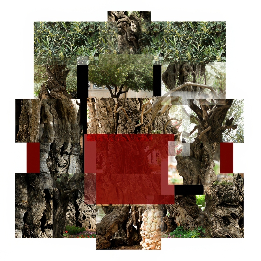 Галина Маскалёва, из проекта «Смерть: есть ли это Big Picture?» | 2012