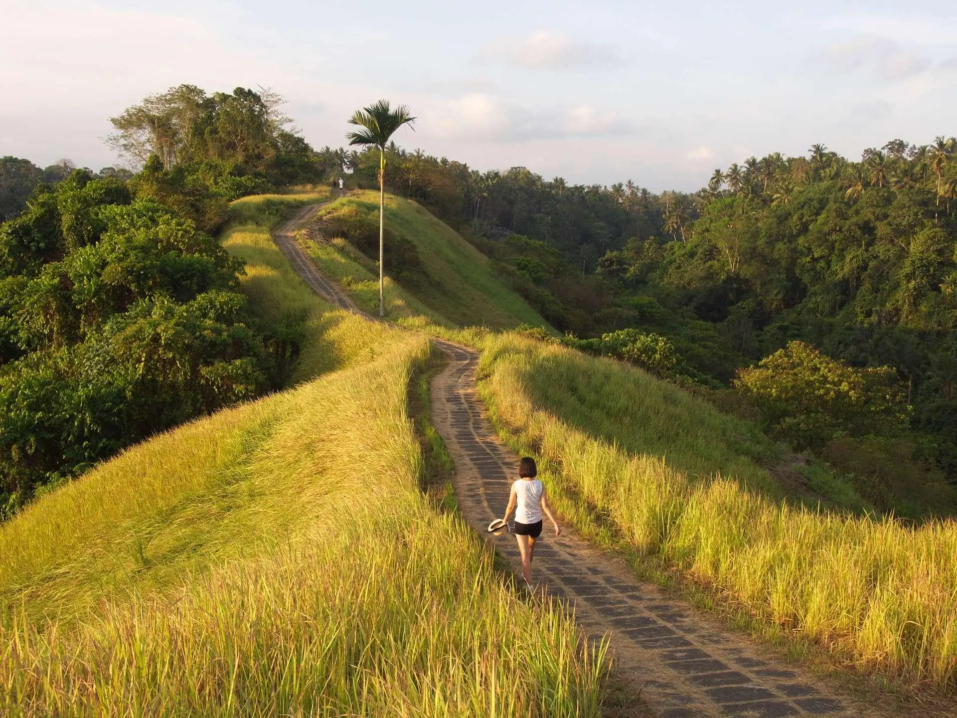 Traveller walking along a scenic path surrounded by tall grass and tropical greenery near Ubud