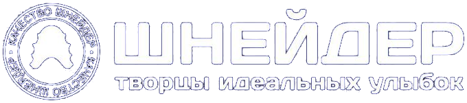 Шнейдер, партнер NNG