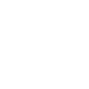 website icon