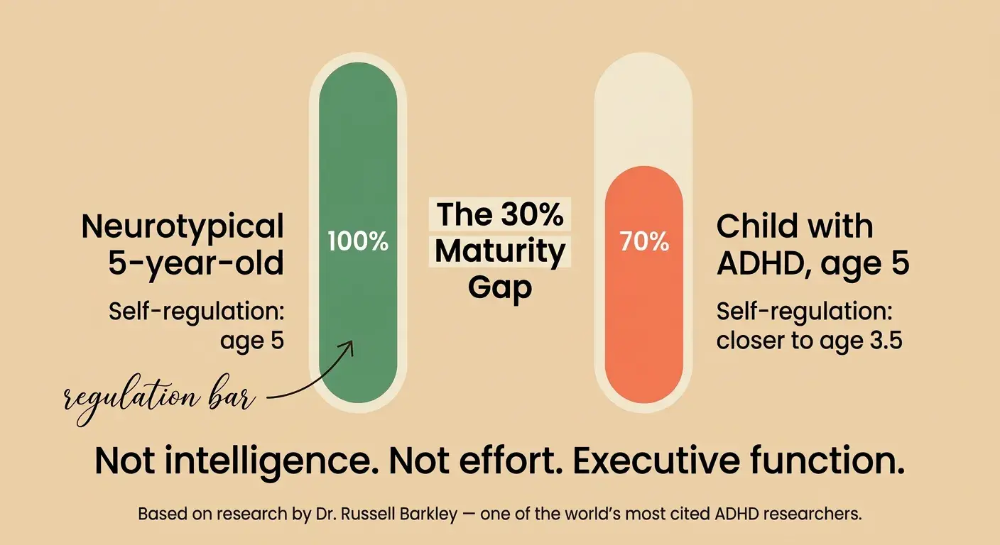 Infographic showing the 30% executive function maturity gap in children with ADHD vs neurotypical peers