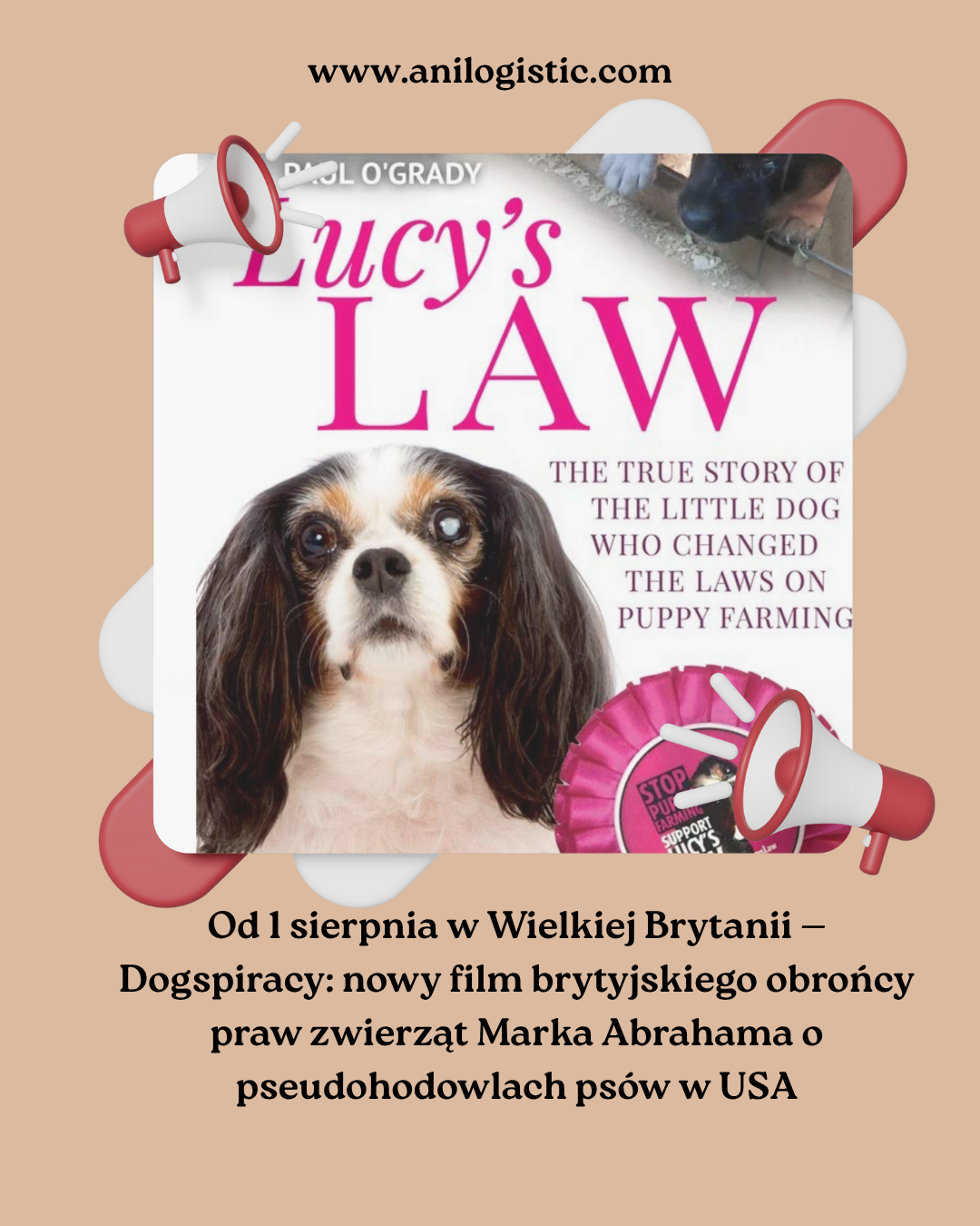 Fermy szczeniąt w USA i Europie, okrucieństwo wobec zwierząt i nowy film Dogspiracy autorstwa Marca Abrahama