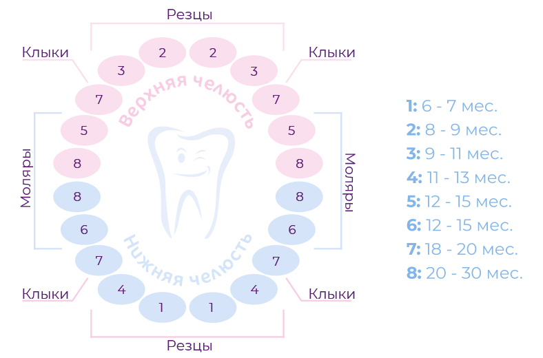 Маз для зубы ребенку