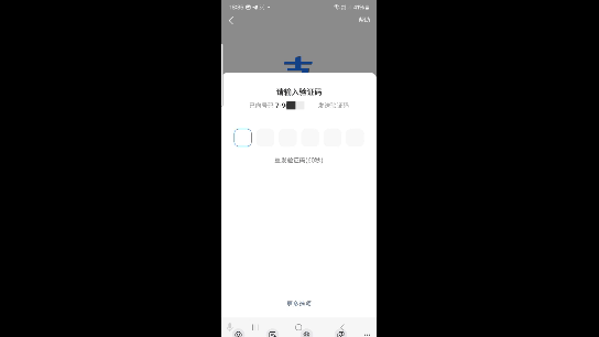 Ввод SMS-кода в приложении Alipay