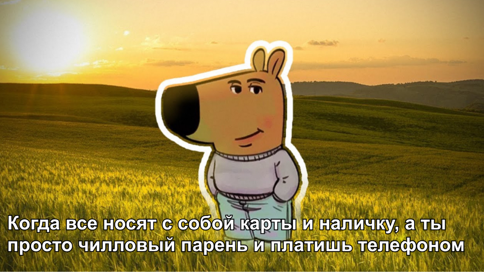 Ограничения в Системе быстрых платежей - фото