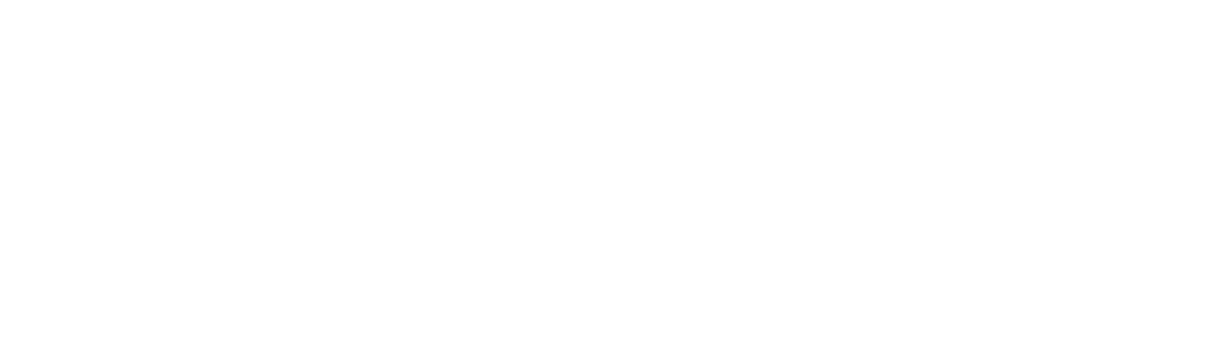 Regulus Wealth Management