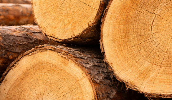 Логистическая система