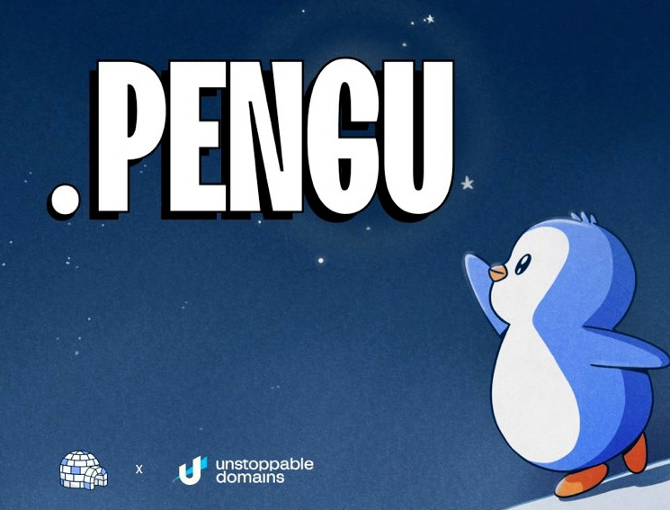 .PENGU domain by Pudgy Penguins on Solana blockchain