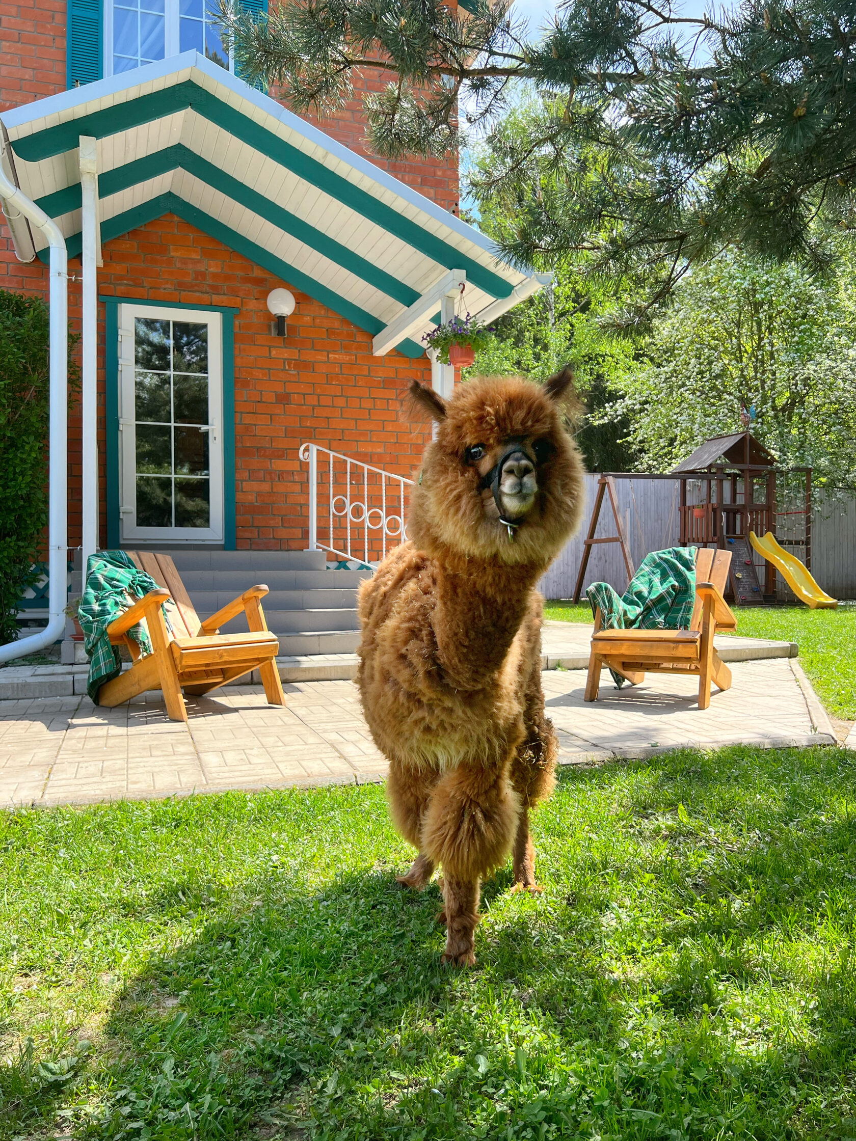 КАНТРИ — фото 5