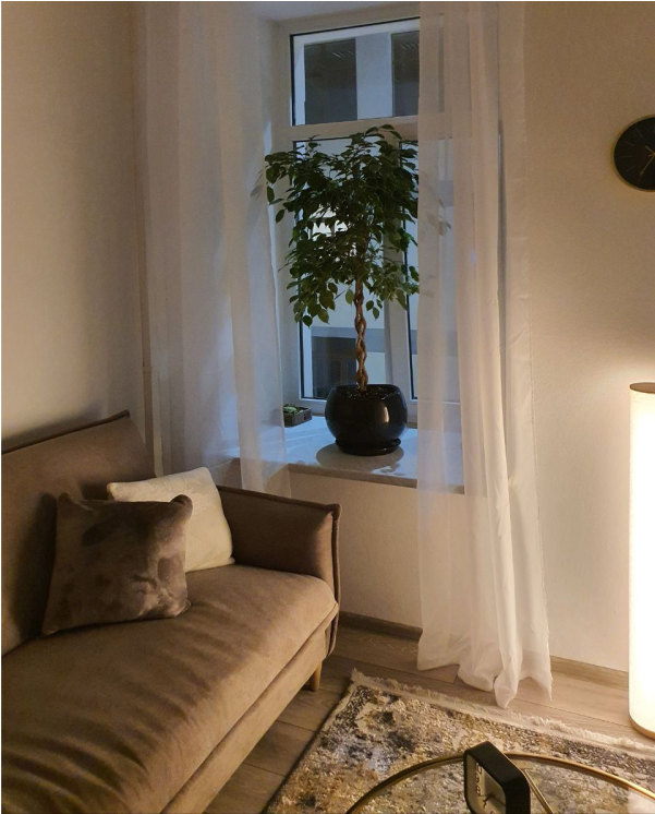 аренда кабинета санкт петербург, коворкинг спб, аренда кабинета психолога +в санкт петербурге