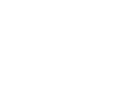 НПП Сводум