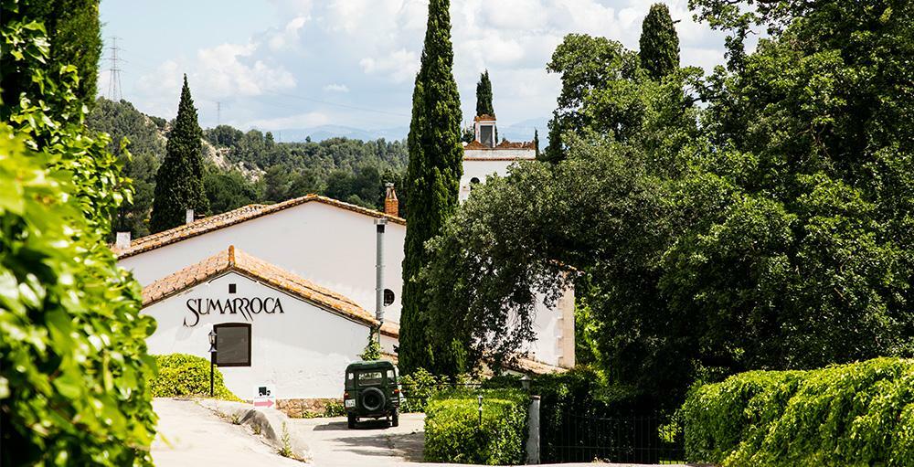 Best vineyard near me from Barcelona to Penedes | Casamiga Events