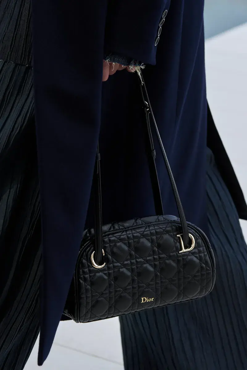 Сумки Dior Spring 2027 26
