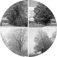 Бытовки в Екатеринбурге купить с доставкой