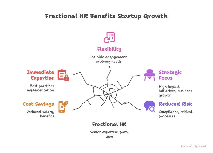 Fractional HR Benefits Startup Growth