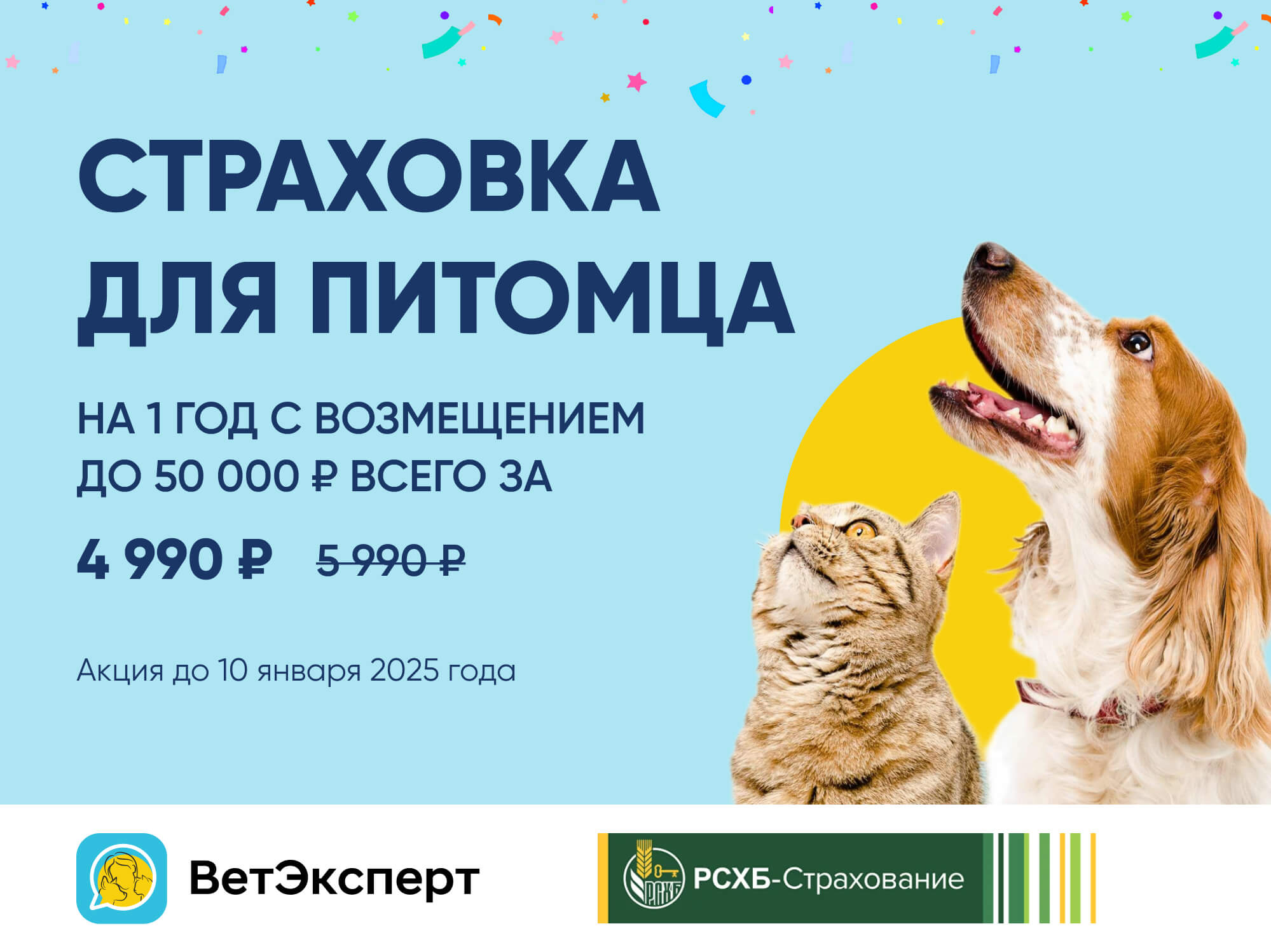 Страховка для питомца